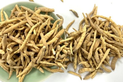 Thái Tử Sâm (Pseudostellaria Heterophylla): Tăng Cường Sức Khỏe Đường Ruột Qua Điều Chỉnh Hệ Vi Sinh Vật
