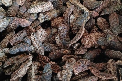 Nhàu Khô - Khám Phá Lợi Ích Bất Ngờ Từ 