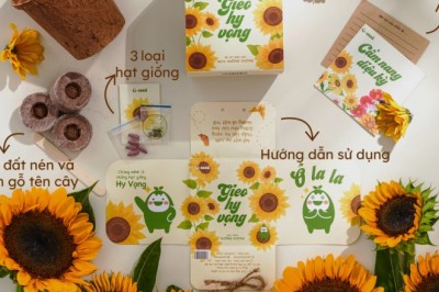 Hạt Giống Cây Cho Trẻ Em: Cách Trồng Và Giáo Dục Trẻ Yêu Thiên Nhiên