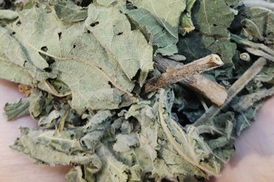 Cây An Xoa - Thảo Dược Quý Giúp Lá Gan Khỏe Mạnh