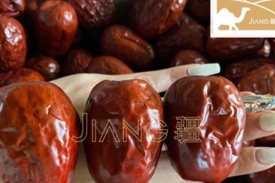 Táo Đỏ Hòa Điền Tân Cương: Đặc Điểm, Lợi Ích Sức Khỏe và Cách Sử Dụng