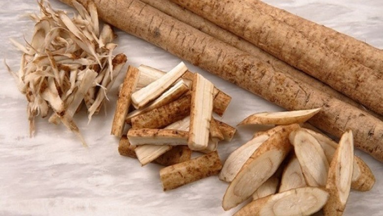 Củ Ngưu Bàng - Thảo Dược Quý Giá Từ Tự Nhiên