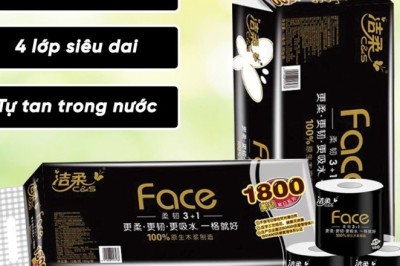 Những Điều Ít Biết Về Giấy Vệ Sinh và Lợi Ích Khi Chọn Sản Phẩm Chất Lượng