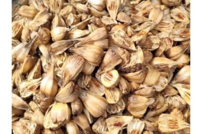 Dứa Dại - Thảo Dược Quý Giá Cho Sức Khỏe