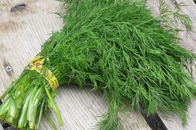 Loại Rau Người Việt Ai Cũng Biết Hóa Ra Là Dược Liệu Quý Từ Hàng Nghìn Năm Trước