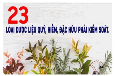 23 Cây Dược Liệu Quý Hiếm: Tinh Hoa Y Học Cổ Truyền Việt Nam