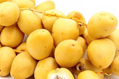 Ăn quả chà là tươi bị đầy bụng, tiêu chảy – Nguyên nhân và cách xử lý