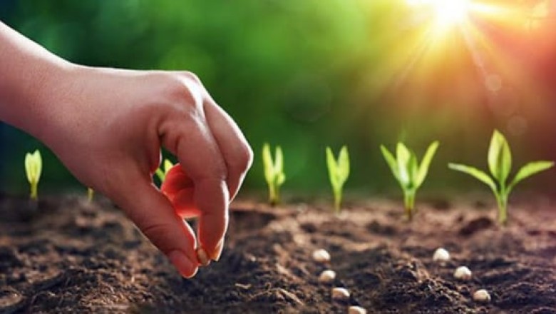 Nhân quả: Không ai được miễn trừ