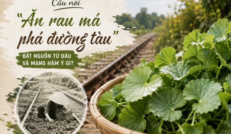 Câu nói “Ăn rau má phá đường tàu” bắt nguồn từ đâu? Câu chuyện phía sau khiến nhiều người hiểu khác đi