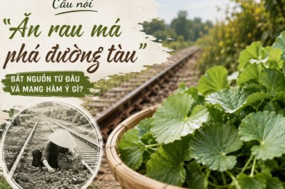 Câu nói “Ăn rau má phá đường tàu” bắt nguồn từ đâu? Câu chuyện phía sau khiến nhiều người hiểu khác đi