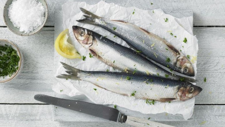 Cá trích: Loại cá nhỏ giàu omega-3, vitamin B12 và vitamin D